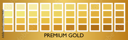 Vector set of gold palette for digital design and decoration element.	