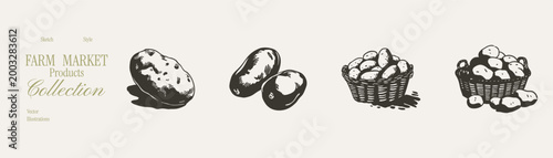 Potato harvest baskets fresh farm produce sketch set. Hand drawn pencil style images with single tubers and filled containers. Illustrations for packaging and menus, with dense grainy strokes.