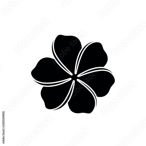 Fotografie Black Silhouette of a Plumeria Flower with Five Petals.