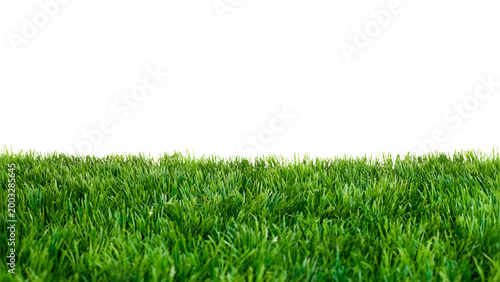fresh green grass blades close-up texture seamless pattern isolated on transparent background