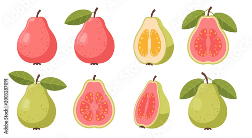 Colorful guava fruit set illustration
