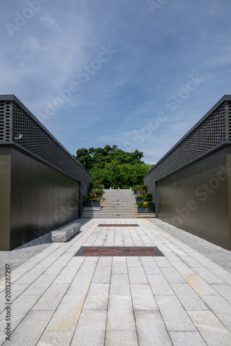 A Serene Entrance to Modern Architecture with Symmetrical Design and Lush Greenery in the Background