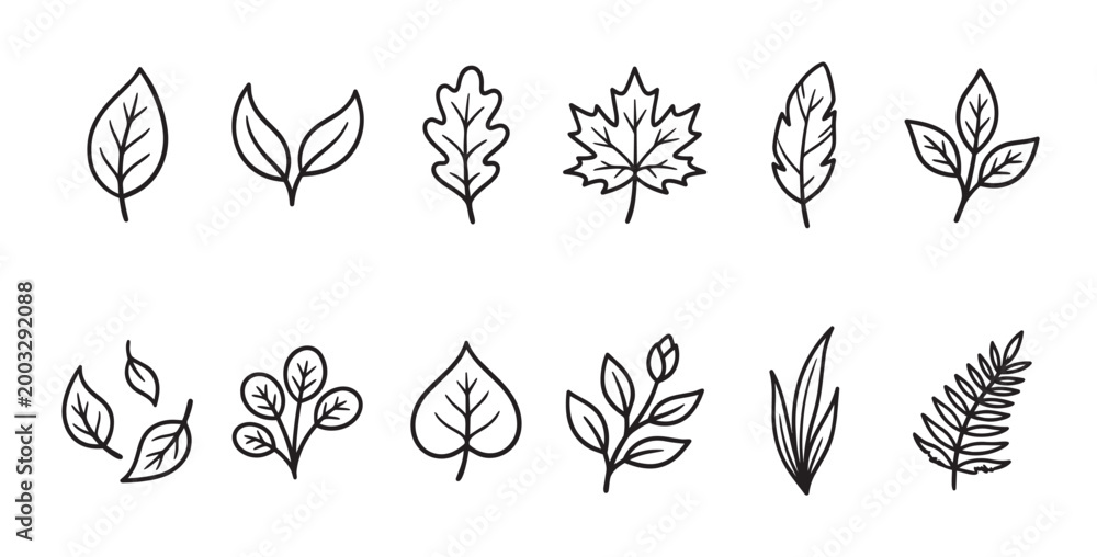 Naklejka premium A collection of simple black line art illustrations of various leaves and branches on a white background.