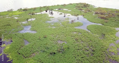 Aerial view of Amazon wetlands near Iquitos Peru small boat navigating through water plants smooth drone flight over rainforest 4K