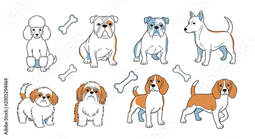 Beagle dog illustrations from sketch to fully colored renderings