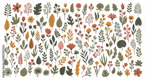 Autumn Leaves and Floral Vector Collection on White Background