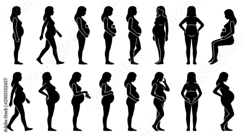 Set of black silhouettes representing various pregnant women in poses