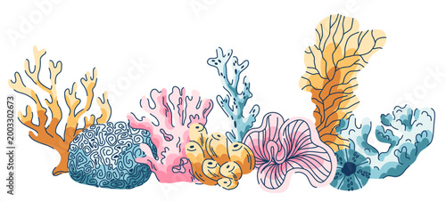A set of marine benthic corals in a linear arrangement, arborescent, sponge and tube corals and algae of a coral reef