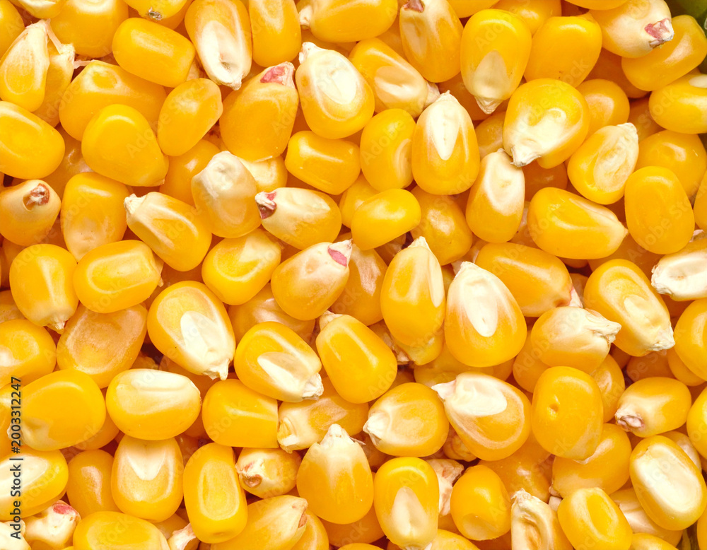 Fototapeta premium Popcorn kernels, top view, full frame, macro shot. AI