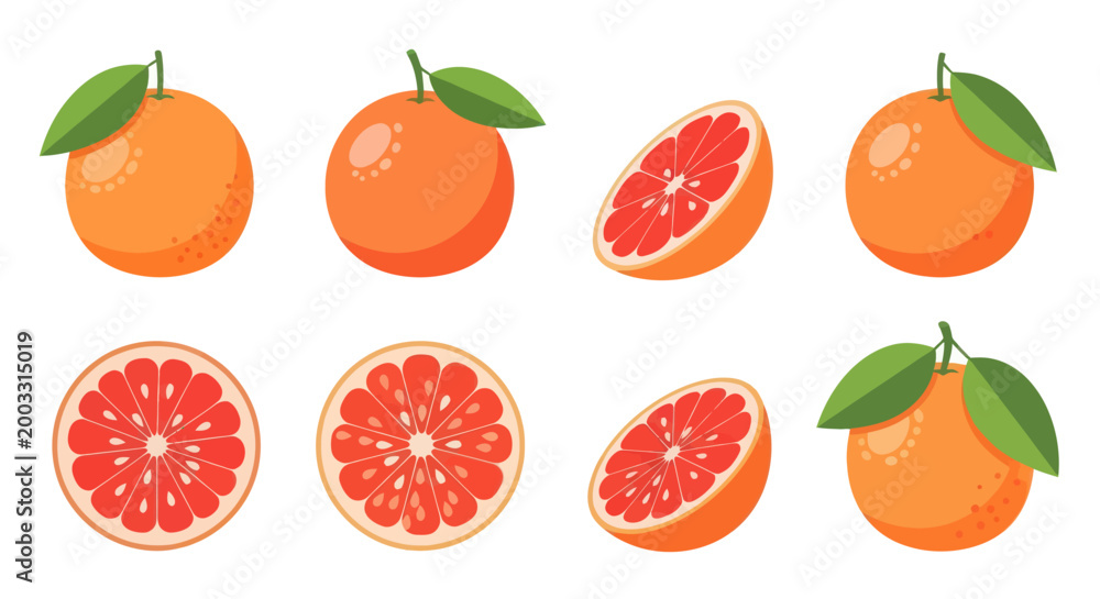 Naklejka premium Fresh grapefruit illustrations