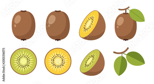 Fotografi Fresh kiwi fruit illustrations