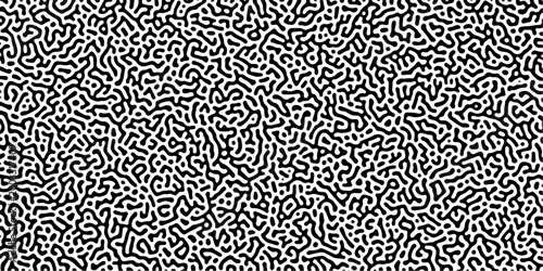 Canvas Print Organic seamless patterns with rounded lines Diffusion reaction background