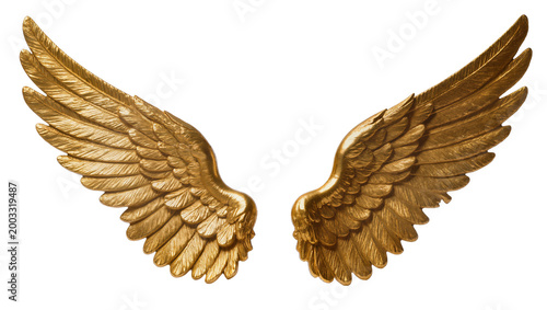 Quadro su tela Isolated magnificent golden ornate angel wings, beautiful elegant metallic sculp