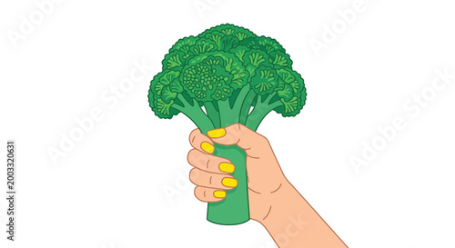 Hand holding broccoli colorful vector illustration on white background