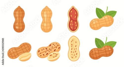 Foto Illustrated peanuts seeds and shells