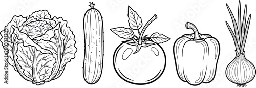 Hand drawn vegetable illustration cabbage cucumber eggplant pepper and radish