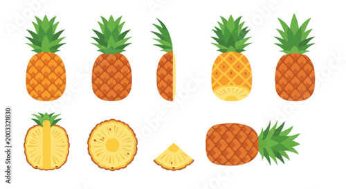 Illustration of a pineapple set