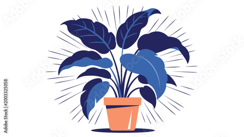 Blue leafy houseplant in an orange terracotta pot with decorative rays of light emanating from behind the leaves.