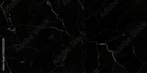 Deep black marble background with striking silver and white natural veining, refined luxury stone pattern perfect for high end architecture and decorative surfaces
