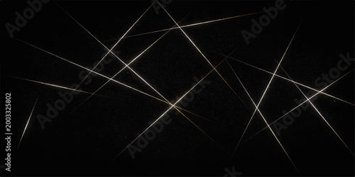 Photos Abstract black and white spider web background featuring a geometric line patter