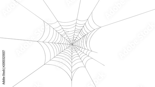 Intricate spider web illustration on a white background suitable for halloween decorations and spooky nature themes.