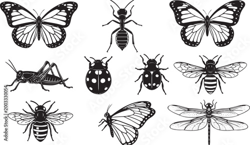 Insect Collection Butterfly Bee Ladybug Vector Illustration Set
