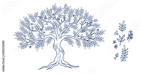 Konstfotografi neem tree hand drawn vector ink traditional oriental asian Indian design isolate