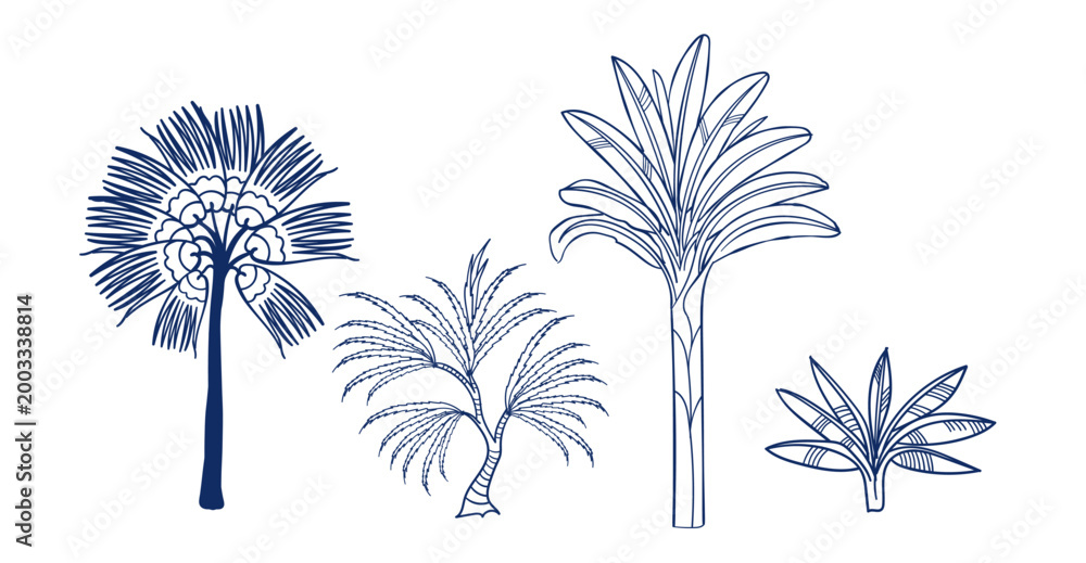 Fototapeta premium palm set tree hand drawn vector ink traditional oriental asian Indian design isolated
