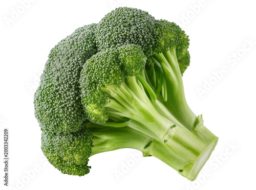 Canvastavla Isolated fresh green broccoli head full of healthy florets for nutritious cookin