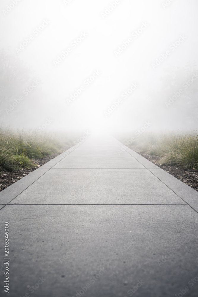 Fototapeta premium Serene pathway leading into foggy misty surroundings ahead