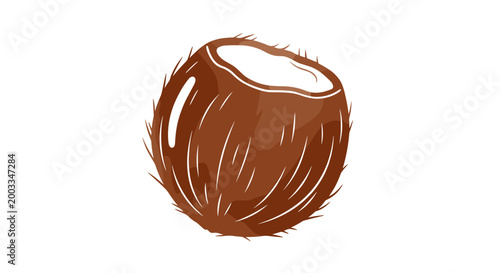 Half Coconut Illustration Tropical Fruit Healthy Food Ingredient.