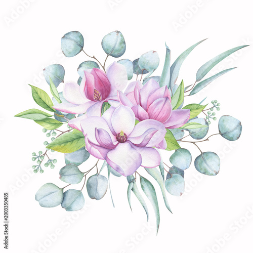 Floral watercolor composition with delicate pink magnolia flowers and green eucalyptus foliage.
