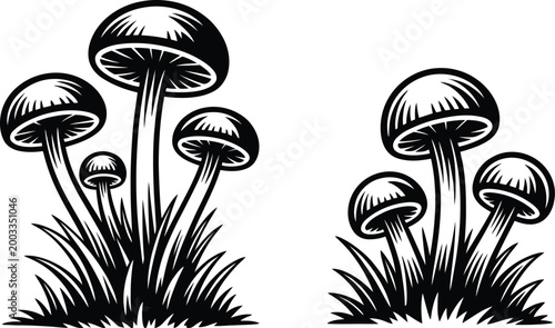 Mushroom vintage sketch set, hand drawn black and white detailed mushroom sketches with fine shading representing natural ingredients and gourmet food illustration.