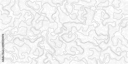 Gray topographic map contour lines on white background texture pattern