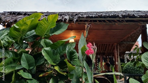 Fotografia Tropical garden with lush green foliage and pink flowers in front of a tradition