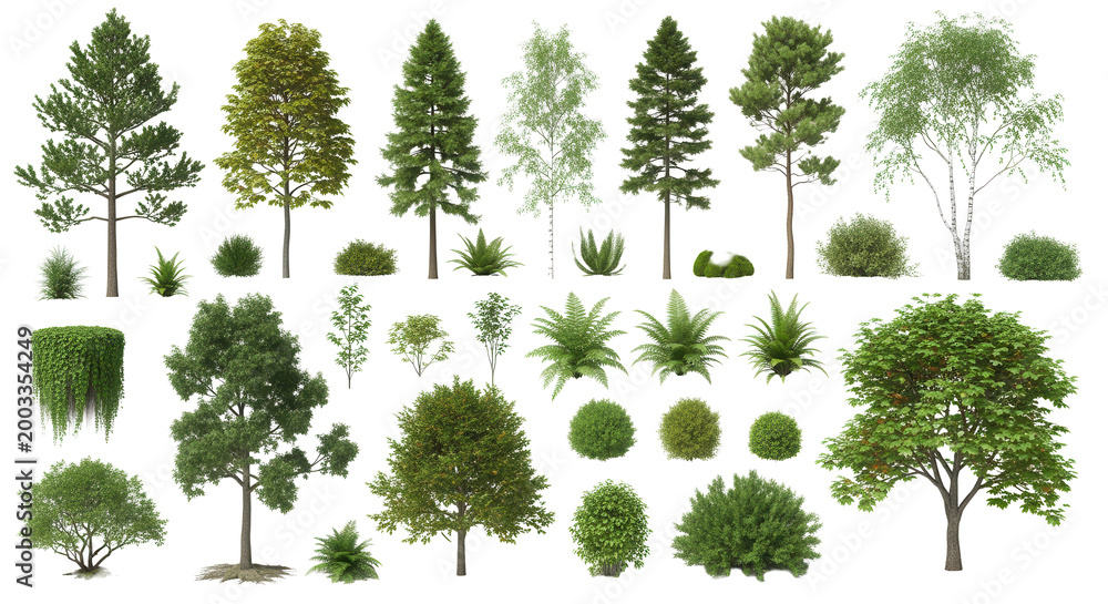 Fototapeta premium Realistic greenery forest trees collection on transparent backgrounds. high quality 3d rendering. png format