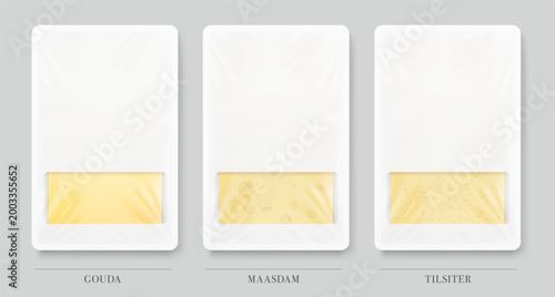 Rectangle tray container mockup with sliced Gouda, Madam and Tilsiter cheese. Realistic vector illustration isolated on grey background. Flat lay view. Ready for use in your design. Scalable without l