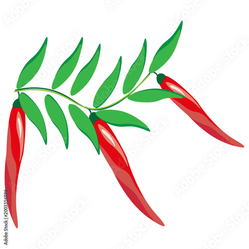 Piquant chili Vector. Spicy pepper collection. Red hot vegetable. Beautiful natural green leaves.