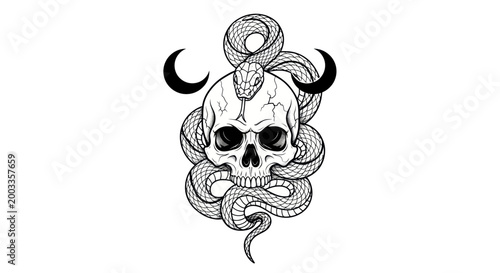 Obraz na plátně Skull and snake illustration