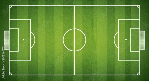 Top view of a professional soccer field with green grass texture.