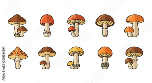 Colorful mushroom variety illustration