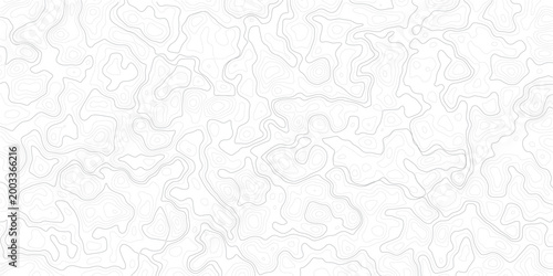 Gray topographic map contour lines pattern on white background