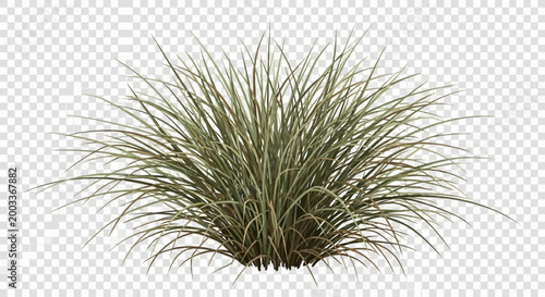 green grass on white background