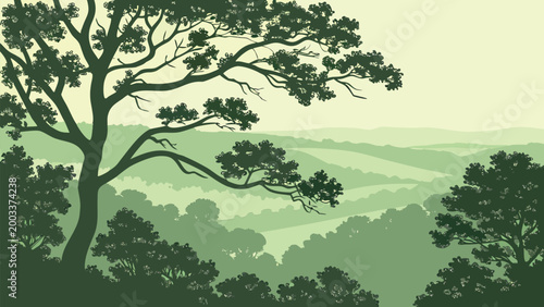 Vector collection of serene green nature landscapes, forest woods, mountain rivers, and bamboo groves in minimalist flat style.