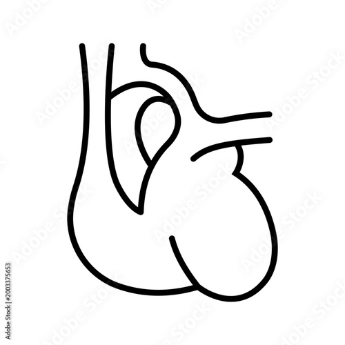 Heart anatomy icon. Healthcare and cardiology line symbol. Black and white.