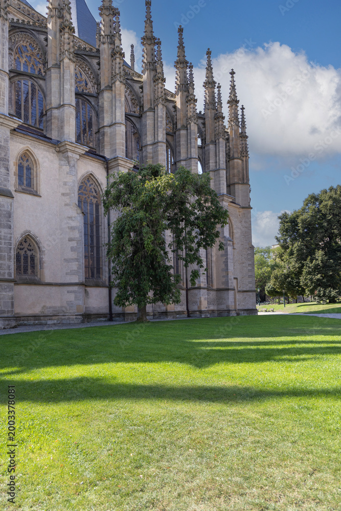 Fototapeta premium Gothic St. Barbara's Church with flying buttresses, spires and ornate stone details, Kutna Hora, Czech Republic