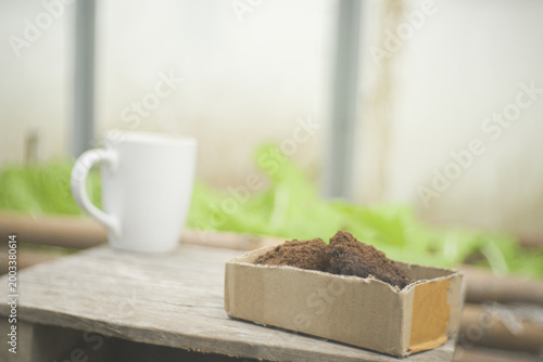 Concept Zero Waste Spent coffee grounds for use as organic fertiliser. The close up of recycled coffee waste in cardboard box with mug, leafy greens blur in the sustainable urban garden background.