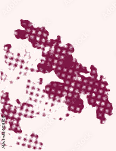 Abstract halftone floral pattern with dotted texture in magenta tones, modern artistic background with stylized flower shapes