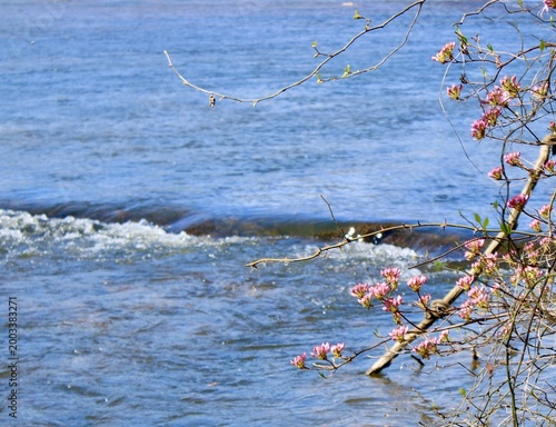 Rushing waters