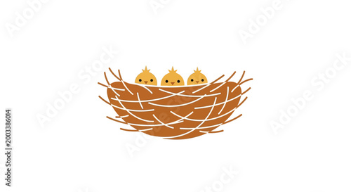 Three baby birds in a nest.